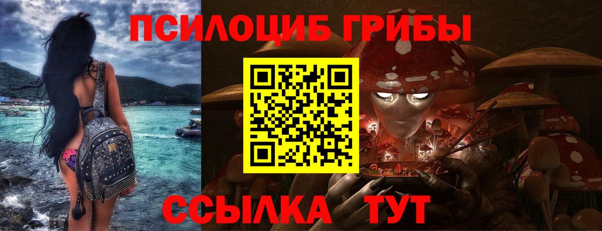 Псилоцибиновые грибы Psilocybine cubensis  Вход с VPN  Невинномысск 
